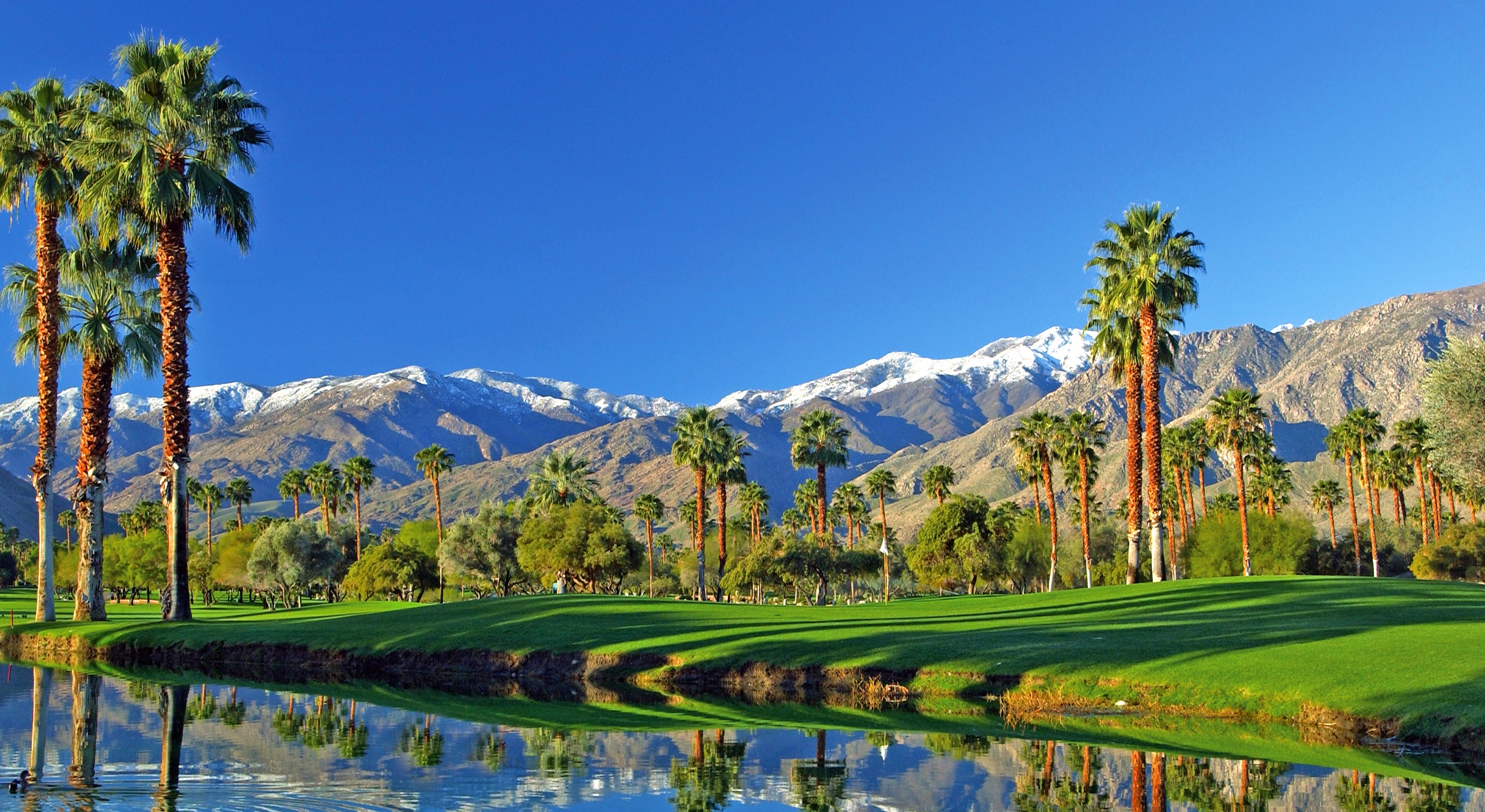 Mountain Vista Palm Desert