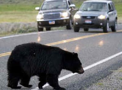 Parc National de Banff