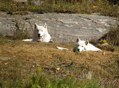 Ottawa -   Mont-Tremblant (180 km)