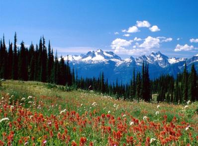 Mont Revelstoke National Park