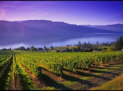 Revelstoke – Kelowna (225 km)