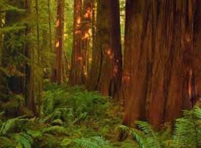 Victoria - Tofino (310 km)