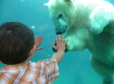  CHAMBORD (Lac St-Jean)