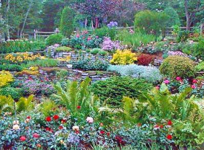 LES ESCOUMINS / traversier / CARLETON    323 km