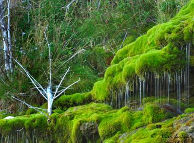 PERCÉ  -  MONT-ALBERT  327 km