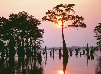 St Francisville – Lafayette, LA (150 km)