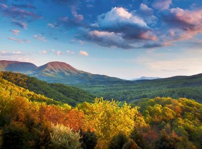 Lexington, Blue Ridge & environs