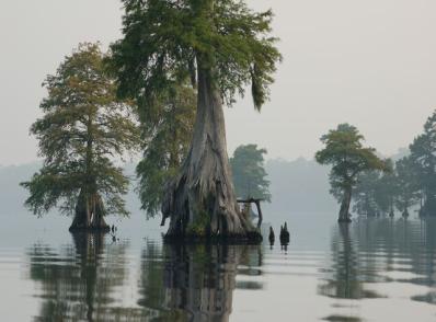 Hatteras / Outer Banks - Great Dismal Swamp - Williamsburg, VA (315 km)