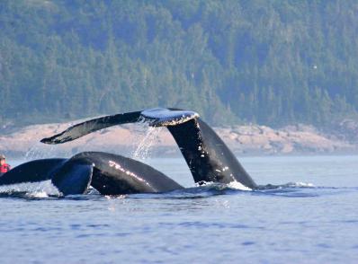 Victoria (île de Vancouver)