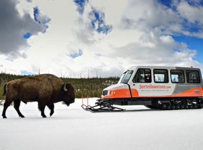 Old Faithful en autoneige