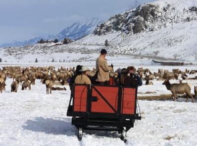 Grand Teton Nat'l Park & Nat'l Elk Refuge