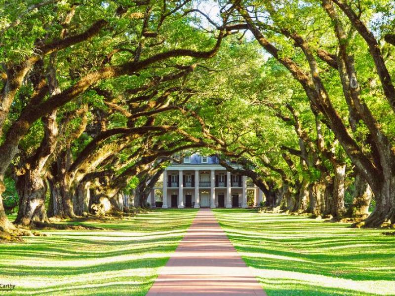 Rythmes et Couleurs du Vieux Sud