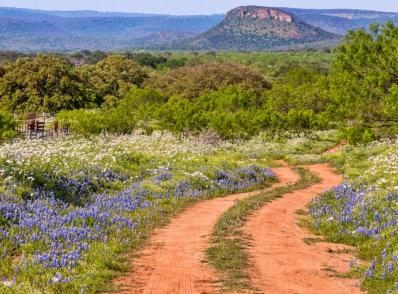 San Antonio - Texas Hill Country - Fredericksburg, TX (270 km)