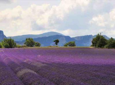 Moustiers-Ste-Marie - Mont Ventoux - Séguret (84), 165 km