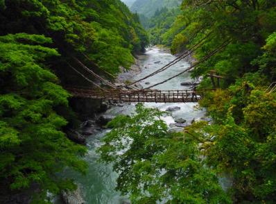 Osaka - Iya Valley (275 km)