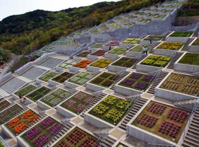 Osaka - Iya Valley (275 km)