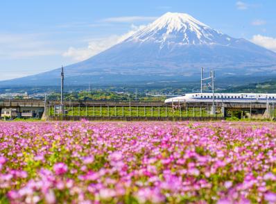 Kyoto - Musée Yamaha -Yokohama (trajet en train rapide 'Shinkansen')