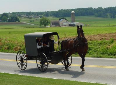 Philadelphie - Pays Amish - Washington, DC (330 km)