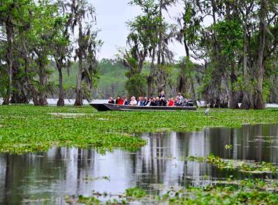 Natchez - Atchafalaya - Lafayette, LA (275 km)
