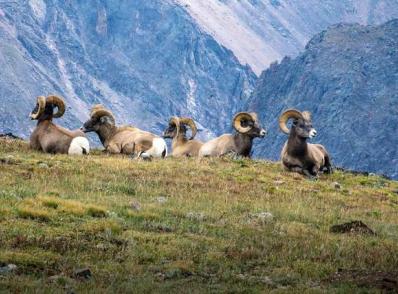 Cheyenne - Rocky Mountain Nat'l Park - Denver, CO (250 km)