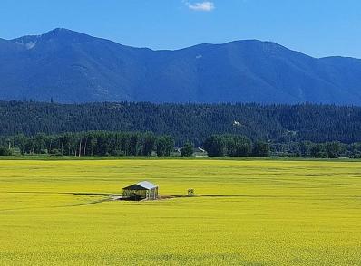 Whitefish - Kootenai Nat'l Forest - Sandpoint, ID (330 km)