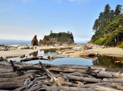 Seattle - Poulsbo - Olympic Nat'l Park - Lake Quinault, WA (270 km)