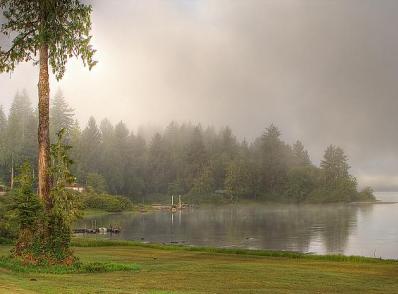 Kalaloch / Lake Quinault - Mt Rainier Nat'l Park, WA (255 km)
