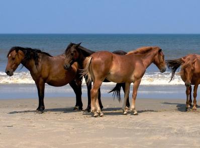 Hatteras / Outer Banks, NC 
