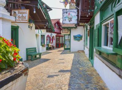 Dahlonega - Helen / Blue Ridge - Dahlonega, GA (200 km)