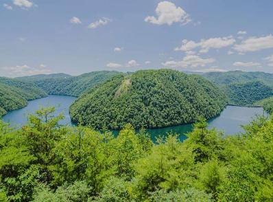 Dahlonega - Townsend, TN (290 km)