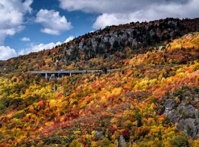 Townsend - Blue Ridge Pkwy - Little Switzerland, NC (295 km)