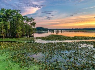 Paducah - Memphis, TN (320 km)