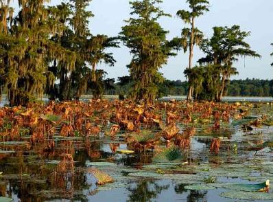 Natchez - Lafayette, LA (275 km)