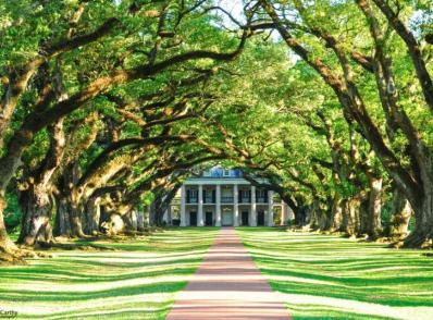 Lafayette - Route des Plantations - La Nouvelle Orléans, LA (300 km)