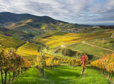 Baden-Baden - Massif des Vosges - Luxembourg (340 km)
