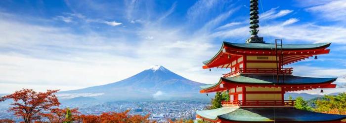 Découvrez nos circuits au Japon