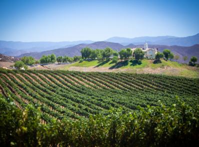 Yosemite Nat'l Park - Paso Robles, CA (335 km)