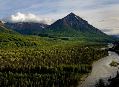 Girdwood - Talkeetna (250 km)