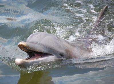 Miami Beach - Overseas Hwy - Key West (270 km)