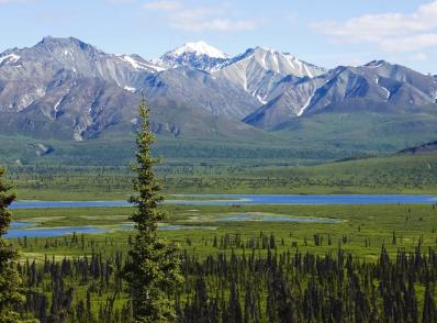 Fairbanks - Tok (330 km)