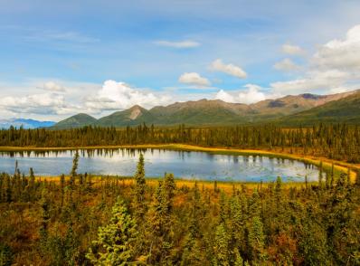 Haines Junction - Tok, AK (480 km)