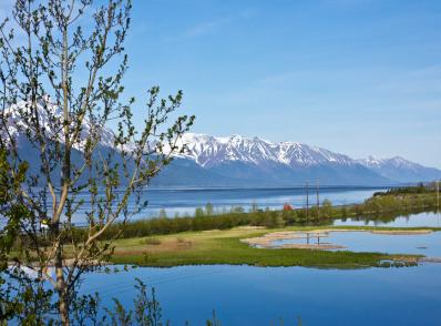 Wasilla / Palmer - Seward (270 km)