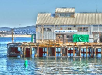 Monterey - Santa Cruz - San Francisco, CA (200 km)