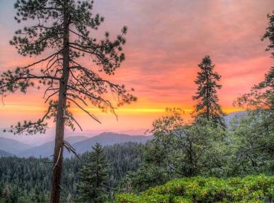 Bakersfield - Sequoia National Park - Modesto, CA (505 km)