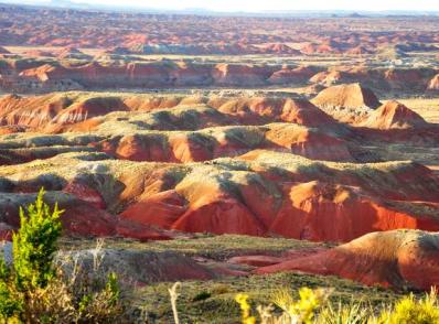 Gallup - Canyon de Chelly - Petrified Forest Nat'l Park - Flagstaff (555 km)