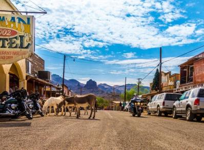 Kingman - Oatman - Las Vegas, NV (265 km)