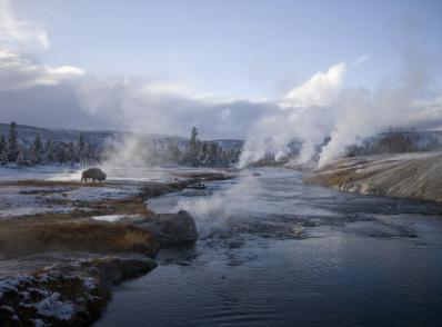 Mammoth Hot Springs & ses terrasses