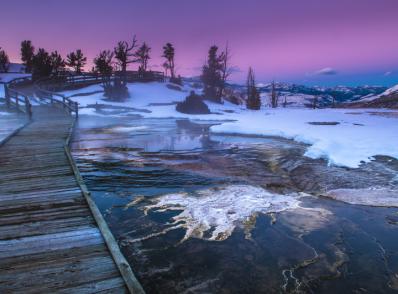 Lamar Valley (les loups de Yellowstone)