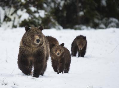 Départ de Jackson Hole