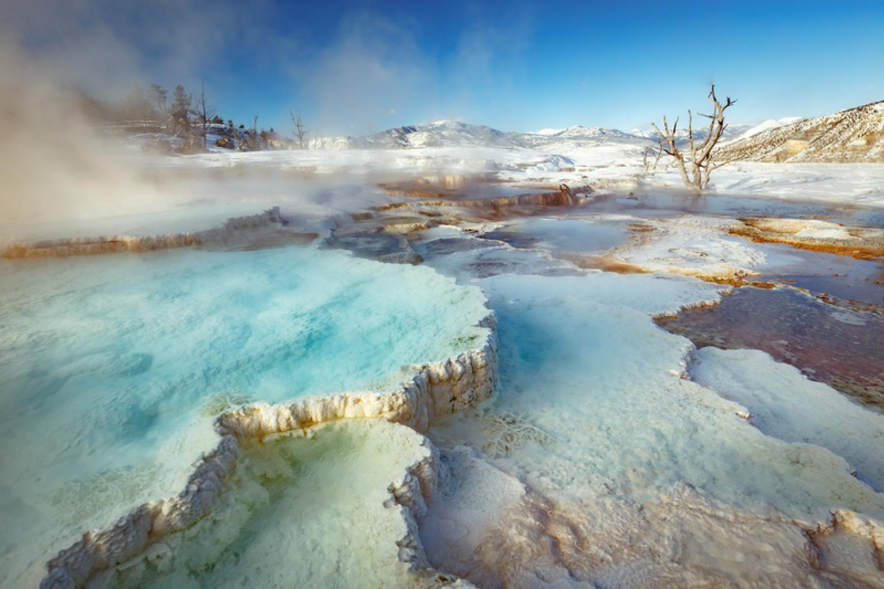 Voyager aux USA en hiver : Yellowstone et les parcs de l'Utah sous la neige